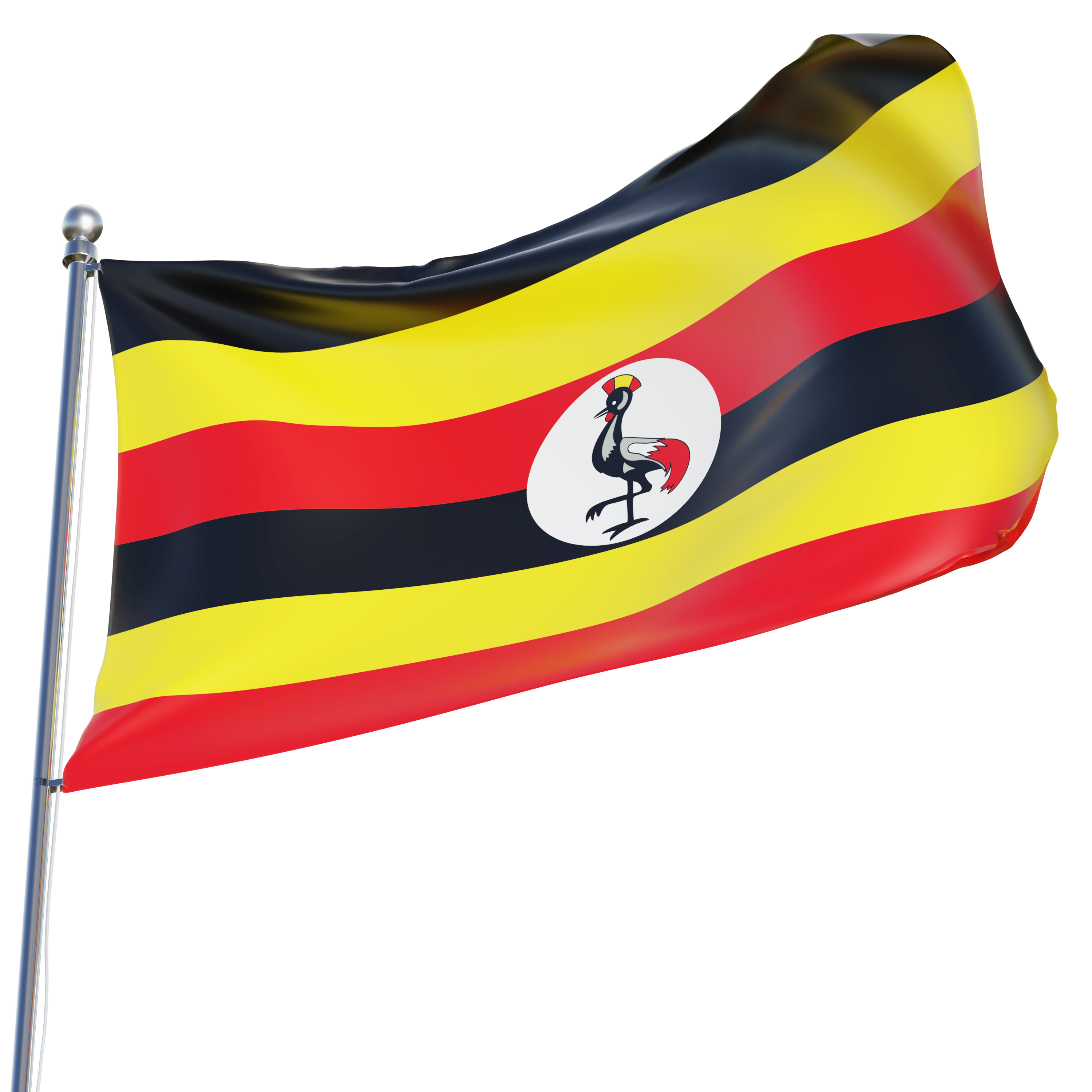 Uganda rises in solidarity